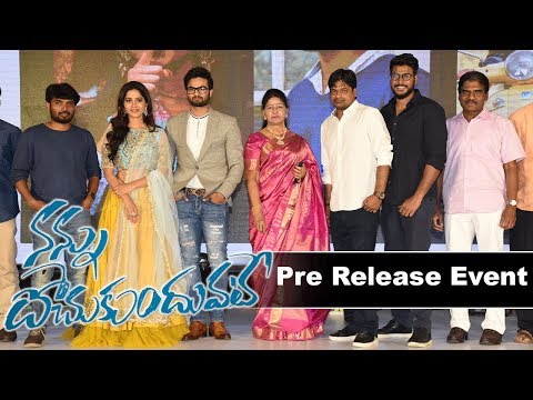 Nannu Dochukunduvate Movie Pre Release Event