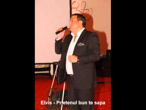 Elvis  Prietenul bun te sapa