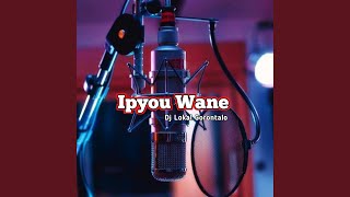 Download lagu DJ IPYOU WANE mp3