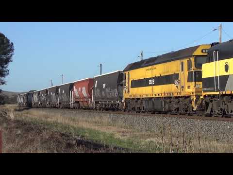 RL305 / GM22 / GM27 & G513 with SSR grain at Maroona vic. goin south east 2.3.2020