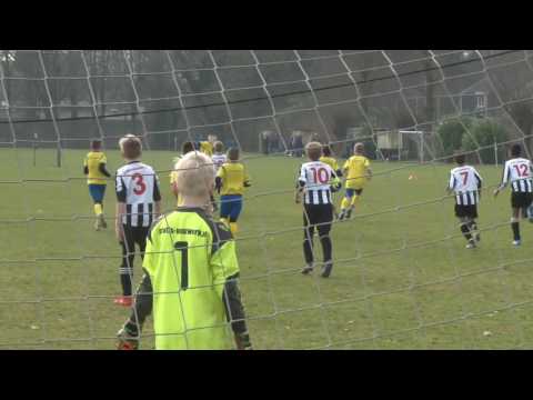 Eldenia JO11-1 - Veluwezoom JO11-1