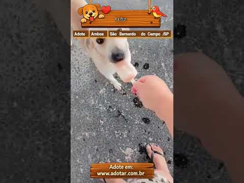 Vídeo de Luke