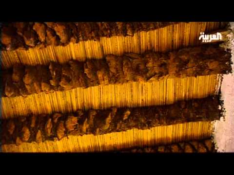 Najran: a historical triangle