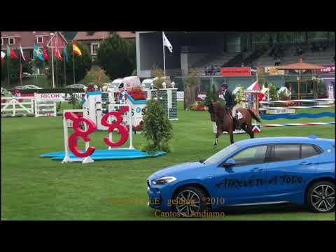 Freestyle - Experience on CSI 5* level