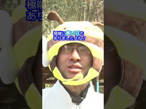 気候変動は孤独なミツバチを脅かす