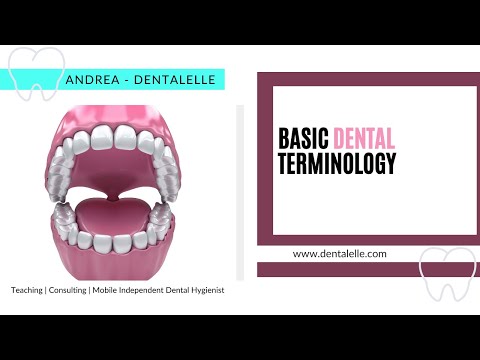 Basic Dental Terminology