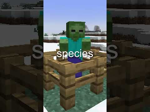 Can Minecraft Zombie's Be Cured?