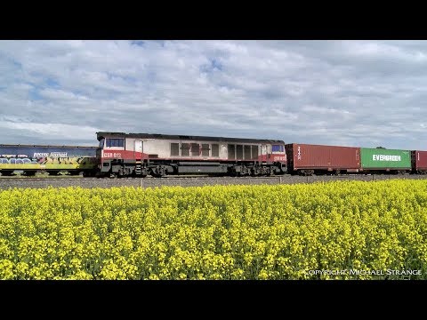 SCT / SBR 7922V "Dooen" Container Train - PoathTV Australian Railways