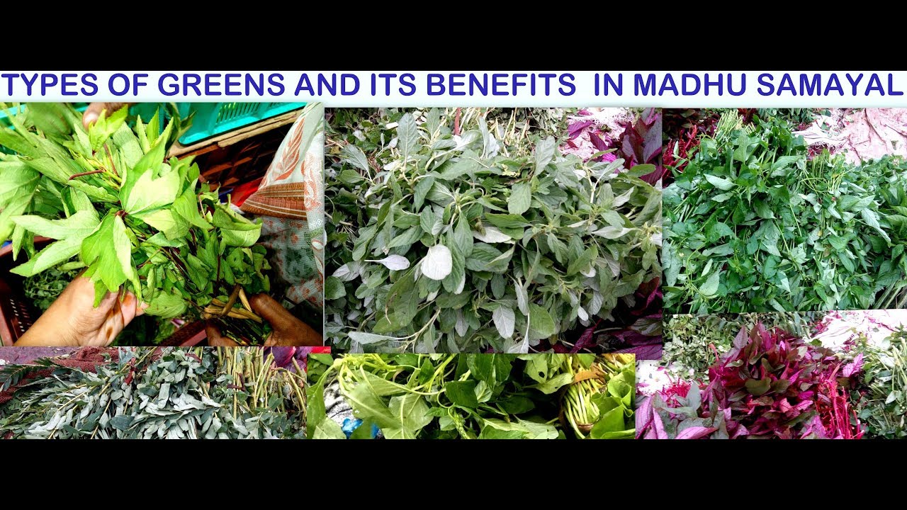 Keerai varieties and its benefits | Types of greens guide for beginners