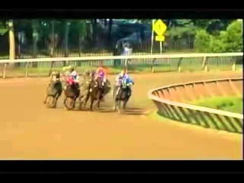 Keeneland Sales Graduate Spotlight: Sweet Reason