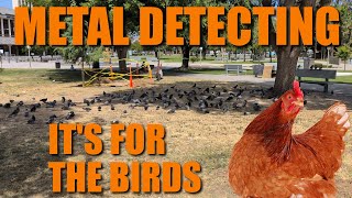 Metal Detecting: Birds, Squirrels, Finds, Sarcasm!