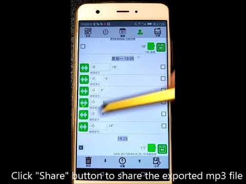 Voice Exporter for WeChat Video
