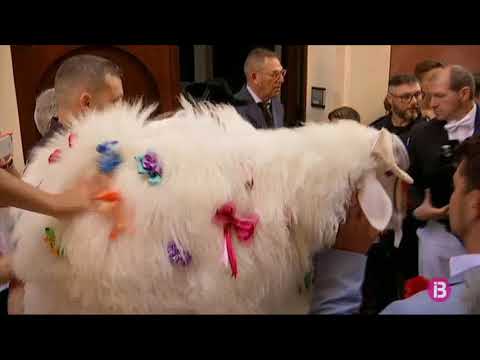 S’Homo des Be, després de caminar 14 hores descalç: “Estic beníssim”