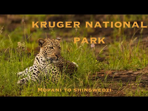 Kruger National Park - A Journey Up North = Mopani + Shingwedzi