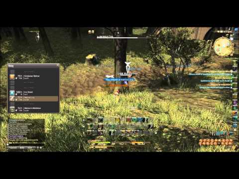 Final Fantasy XIV Online - Walnut log Farming Guide