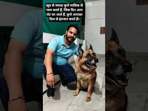 A dog is an example of loyalty. 🐕‍🦺 #shorts #ashimavlog