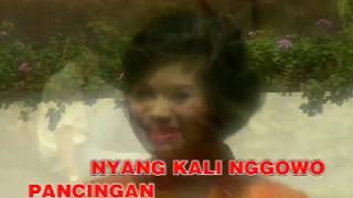 Download lagu Ojo Sembrono Voc. Merry / House Jawa Campursari mp3 Download lagu Ojo Sembrono Voc. Merry / House Jawa Campursari mp3