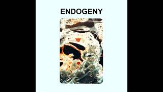 Gen Ken Montgomery - Endogeny (1990 / 2021)