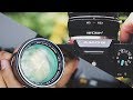 K&F Lens Adapter Review - SAVE MONEY & ADAPT VINTAGE LENSES!