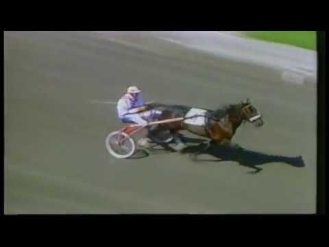 1987 Elitlppp - Elitloppet - Utah Bulwark