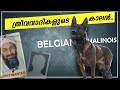 ഇവനാണ് യഥാർത്ഥ താരം.. Why are Belgian Malinois are the best dog malayalam|mysterybox