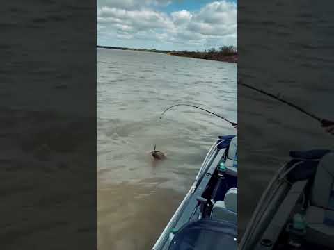 En Pousada Yaguareté, la pesca se convierte en una aventura inolvidable 🎣📍Carmelo Peralta   Al
