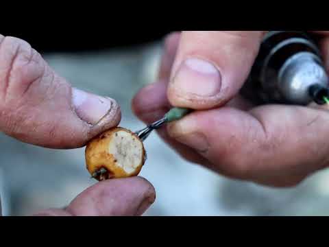 ŠARANSKI BEG OD UDICE