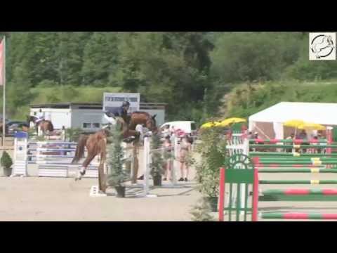 KRONOS DU ROSET, stallion by Kannan, 2005, 145cm in Lignières (SUI), July 2013