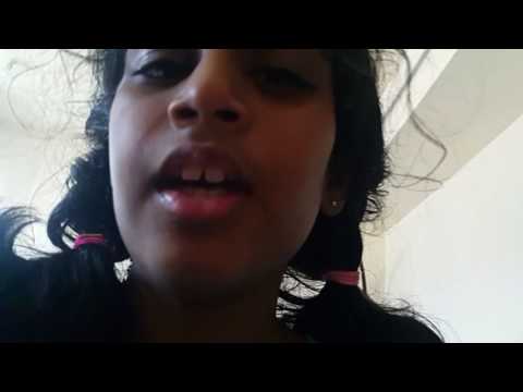 My hamsters!!! By thanuja