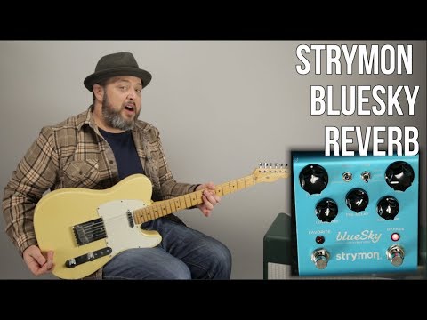 Strymon Blue Sky Reverberator V1 2010 - 2022 - Blue image 5