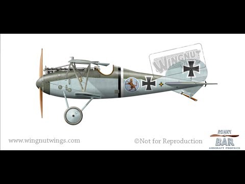 Wingnut Wings Albatros D.V build video 7