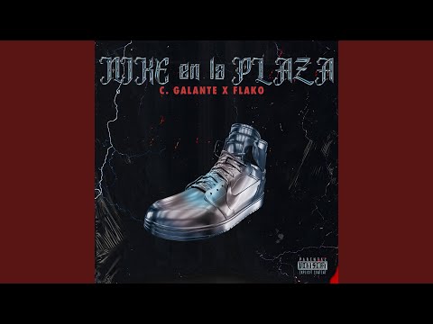 Nike en la Plaza (feat. Flakonohayliga)