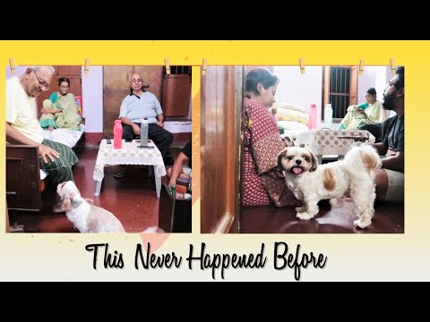 This was the first time - never happened before | Puppies met their grandparents Video
