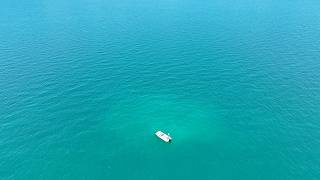 What Lives OUT Here? (Florida Gulf Fishing Adventure)