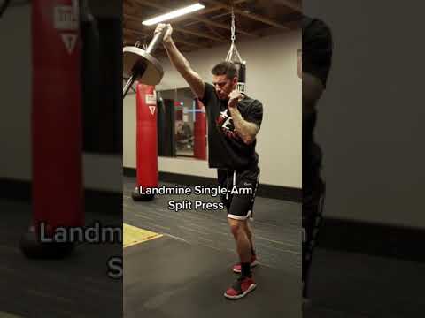 5 exercises to Improve your punching power