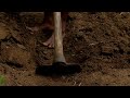 පාත්ති සැකසීම Preparation Of Beds Sinhala Explain In Agriculture