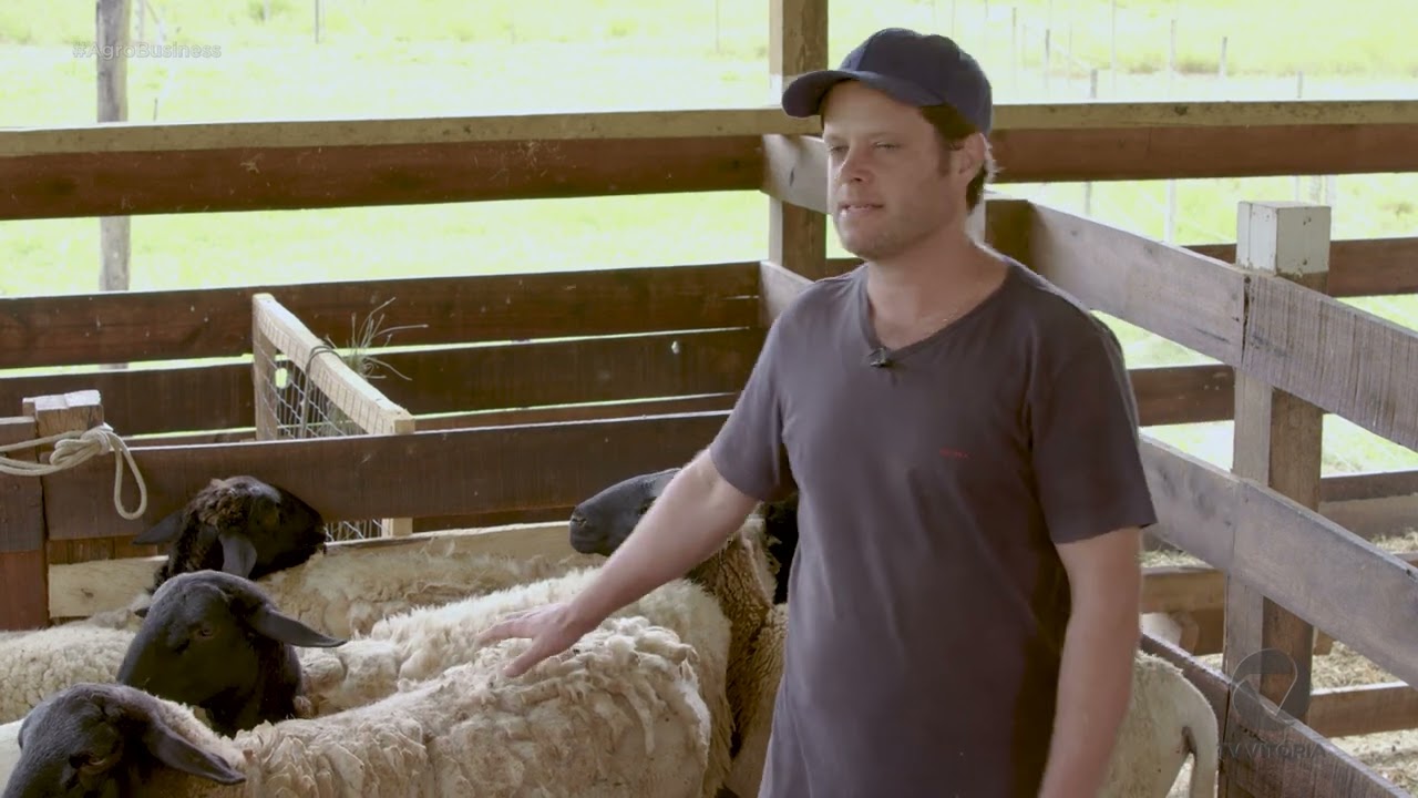 Ovinocultura, você sabe o que é? | AB 2023 EP.7