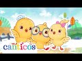 Thanksgiving Special ️ ‍ ‍ Together With Family Canticos Nursery Rhymes Kids Songs