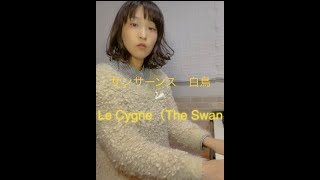 Download lagu #shorts#piano【ショートピアノ】Camille Saint-Saëns/Le Cygne（The Swan）サンサーンス/白鳥 JAZZ arrange mp3