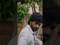 Arjun Reddy Hot Kissing Scene WhatsApp Status Shorts Vijay Rebelboi Tollywood Arjunreddy