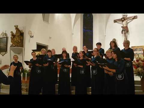 International Choir Festival Alta Pusteria. Choir Dangė - Ave Maria