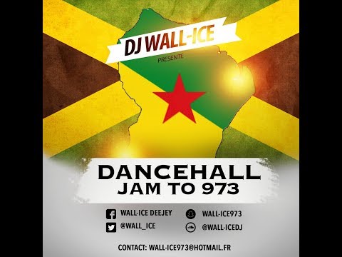 DJ WALL-ICE - DANCEHALL JAM TO 973