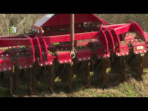 Zaječar: Raspisan konkurs za dodelu subvencija u poljoprivredi