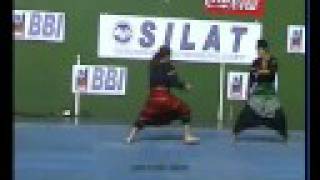 preview picture of video 'Pencak Silat - Silek Tuo - Galdakao Jaiak 2008 - Ganda'