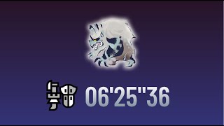 [MHR ] 「銃」槍的傷害？