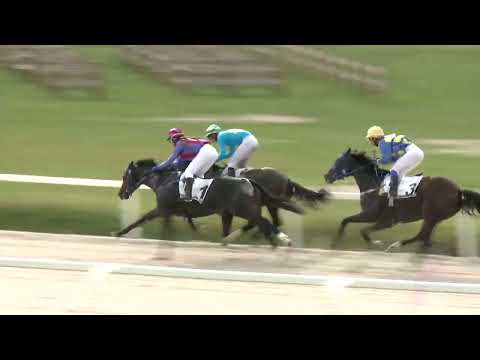 2022.10.09. 02. futam - MAGLÓDI HENDIKEP (IV.o.) (szintetikus pálya)