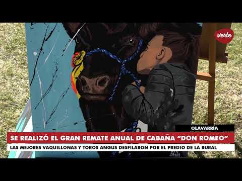 Gran Remate Anual de Cabaña Angus "Don Romeo"