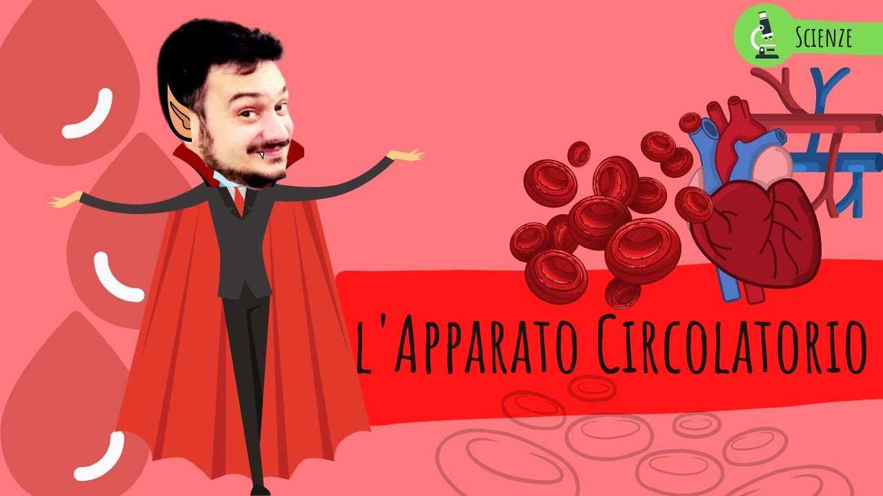 L'APPARATO CIRCOLATORIO - Le scienze spiegate ai bambini di scuola primaria
