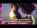 Poongatre Poongatre Video Song Bharathi Kannamma Tamil Movie Songs Parthiban Meena Deva