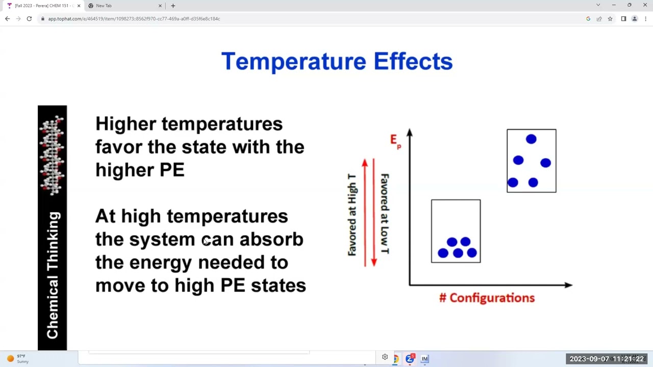 PEC Diagrams Practice